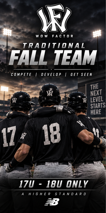 Wow Factor Deep South Traditional Fall Team — 17U–18U only — players in a baseball stadium.
